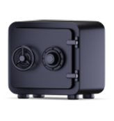 Instant Withdrawals Icon